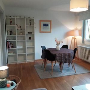 Rare A Colmar - Appartement Champ De Mars Vue Sur Parc - 70M2 - 2 Chambres